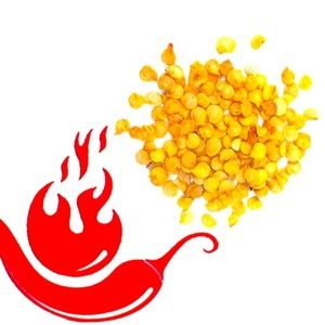 CAROLINA REAPER SEEDS